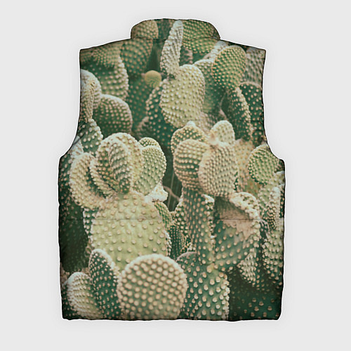 Мужской жилет Поле кактусов / 3D-Красный – фото 2