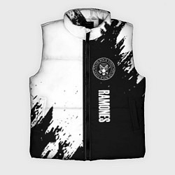 Мужской жилет Ramones краски абстракция, цвет: 3D-черный