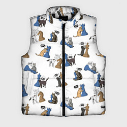 Мужской жилет Котики и шахматы белый