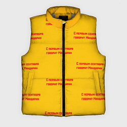 Мужской жилет С первым сентября говорит Мандарин