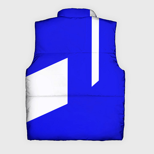 Мужской жилет Россия спортивный стиль / 3D-Черный – фото 2