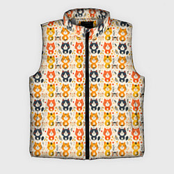 Мужской жилет Разноцветные котята ретро узор