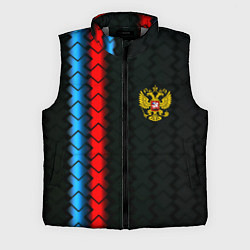 Мужской жилет Россия спорт герб