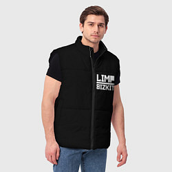 Мужской жилет Lim Bizkit logo, цвет: 3D-черный — фото 2
