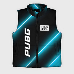 Мужской жилет PUBG неоновые лампы, цвет: 3D-черный
