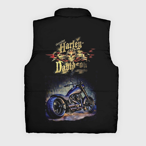 Мужской жилет Харлей Дэвидсон дорога позади / 3D-Черный – фото 2