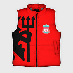 Мужской жилет Liverpool fc sport steel, цвет: 3D-светло-серый