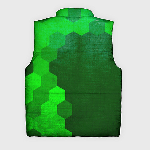 Мужской жилет Palworld - green gradient по-вертикали / 3D-Черный – фото 2