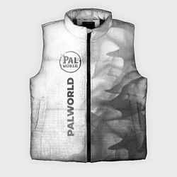 Мужской жилет Palworld - white gradient по-вертикали, цвет: 3D-черный