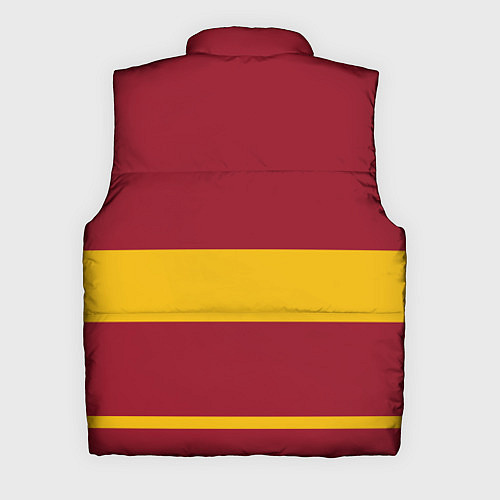 Мужской жилет Гарри Поттер Гриффиндор / 3D-Черный – фото 2