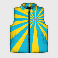 Мужской жилет Военно-воздушные силы, цвет: 3D-светло-серый