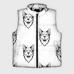 Мужской жилет Голова собаки