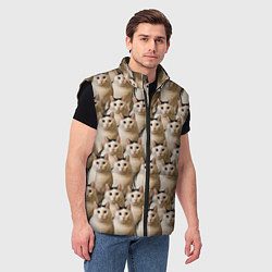 Мужской жилет Толстый кот мем Бендер фото паттерн, цвет: 3D-черный — фото 2