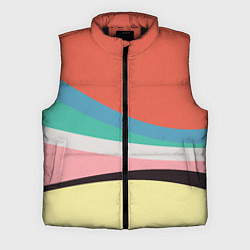 Мужской жилет Спектр июнь