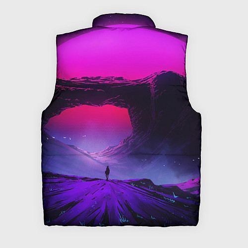 Мужской жилет A Journey on the planet / 3D-Черный – фото 2