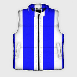 Мужской жилет Color white blue line