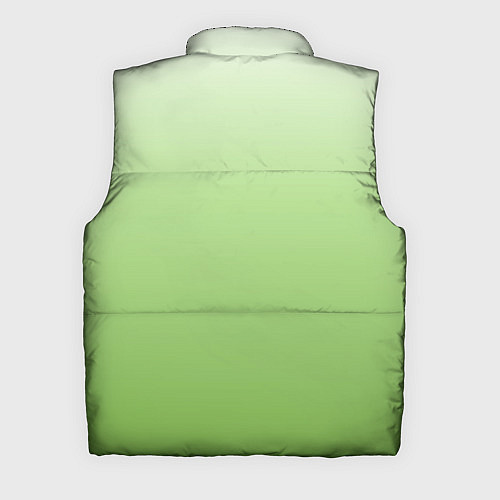 Мужской жилет Градиент нежно-зеленый / 3D-Черный – фото 2