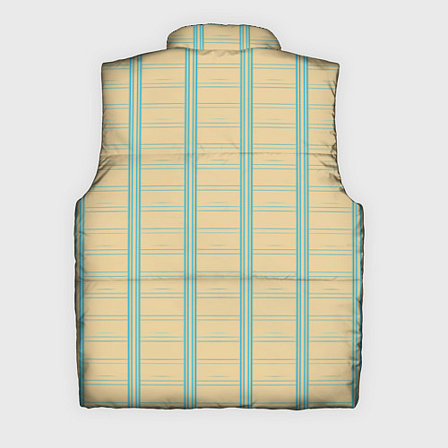 Мужской жилет Color beige cage light blue stripes / 3D-Черный – фото 2