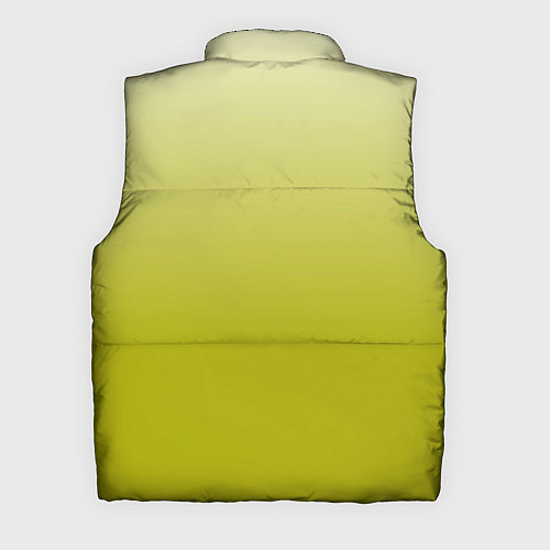 Мужской жилет Градиент лаймовый / 3D-Черный – фото 2