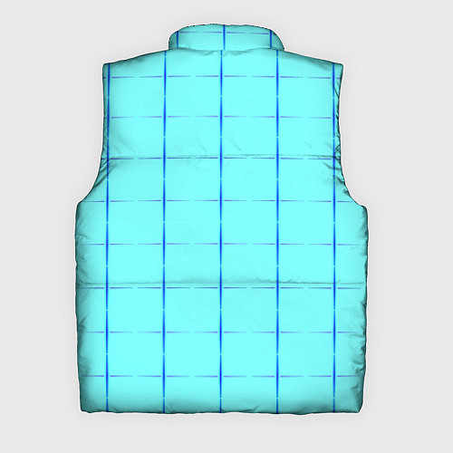 Мужской жилет Сolor blue line / 3D-Черный – фото 2