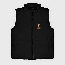 Мужской жилет Bambi