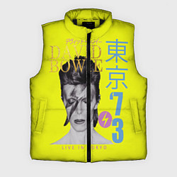 Мужской жилет David Bowie 1973, цвет: 3D-черный