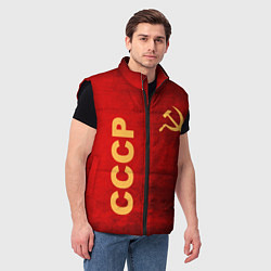 Мужской жилет Советский союз символика, цвет: 3D-черный — фото 2