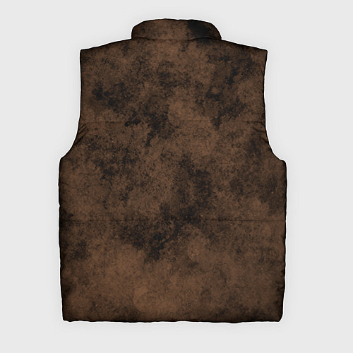 Мужской жилет Взгляд льва / 3D-Черный – фото 2