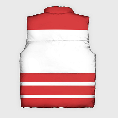 Мужской жилет Detroit Red Wings / 3D-Черный – фото 2