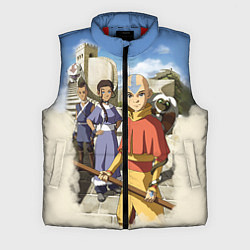 Мужской жилет Легенда об Аанге, цвет: 3D-красный