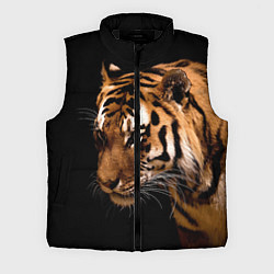 Мужской жилет Тигрица, цвет: 3D-черный