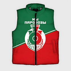 Мужской жилет Мы паровозы