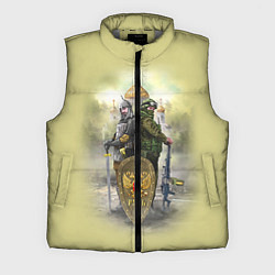 Мужской жилет Имперская русь, цвет: 3D-светло-серый