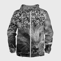 Мужская ветровка Взгляд ёжика