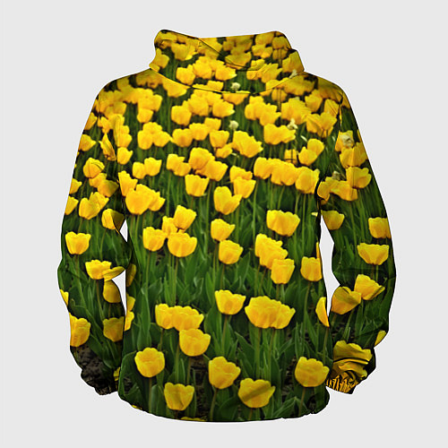 Мужская ветровка Жёлтые тюльпаны / 3D-Белый – фото 2