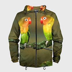 Ветровка с капюшоном мужская Два попугая, цвет: 3D-черный
