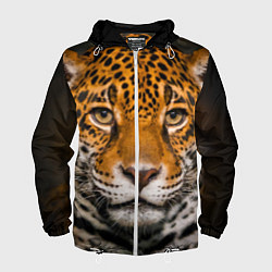 Ветровка с капюшоном мужская Взгляд ягуара, цвет: 3D-белый