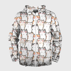 Мужская ветровка Кошки котики коты