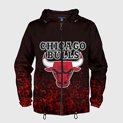 Ветровка с капюшоном мужская CHICAGO BULLS, цвет: 3D-черный