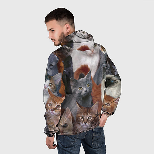 Мужская ветровка КОТЯТКИ / 3D-Черный – фото 4