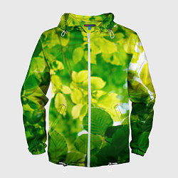 Ветровка с капюшоном мужская Листья, цвет: 3D-белый