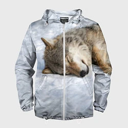 Ветровка с капюшоном мужская Спящий Волк, цвет: 3D-белый