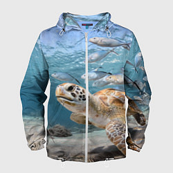 Ветровка с капюшоном мужская Морская черепаха, цвет: 3D-белый