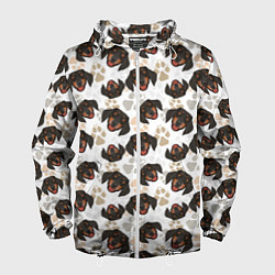 Ветровка с капюшоном мужская Такса Dachshund Dog, цвет: 3D-белый
