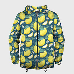 Мужская ветровка Cute lemon pattern