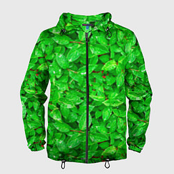 Мужская ветровка Зелёные листья - текстура