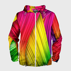 Мужская ветровка Multicolored ribbons