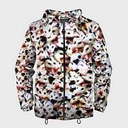 Мужская ветровка Опоссумы