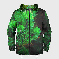 Ветровка с капюшоном мужская Зелёный лес России, цвет: 3D-черный