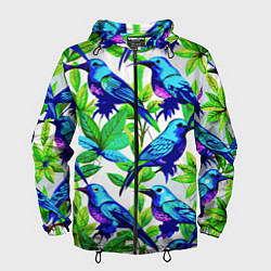 Мужская ветровка Паттерн маленькое синее колибри